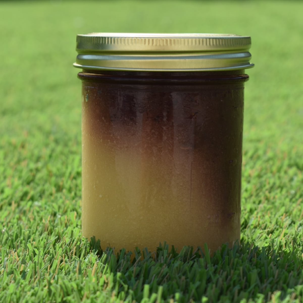 Blueberry Strawberry